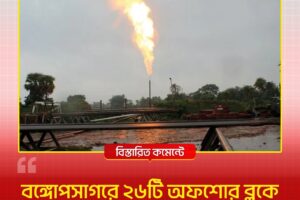 Industrial site with a tall gas flare stack emitting a bright flame, surrounded by pipelines and trees; a news website header is visible above.